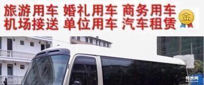 多元化出行选择 全面解析当代代驾服务的种类与优势